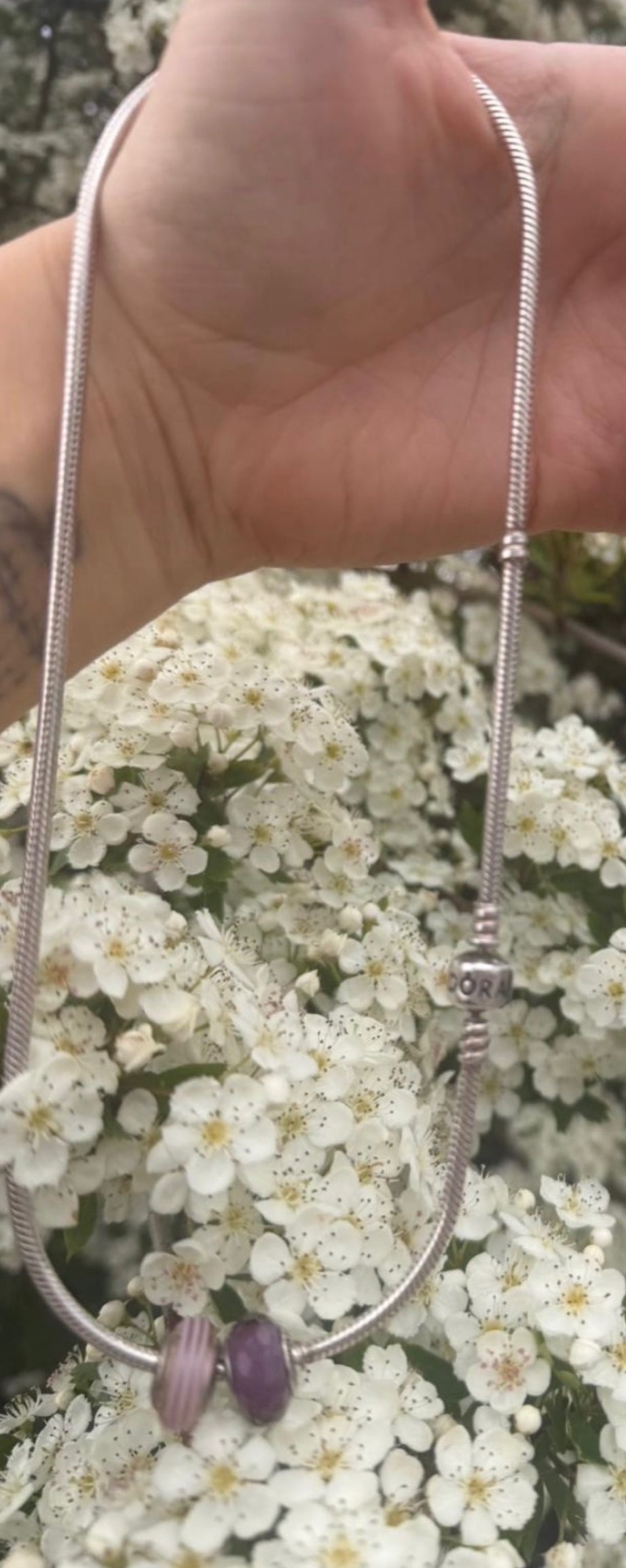 Pandora Silver Necklace