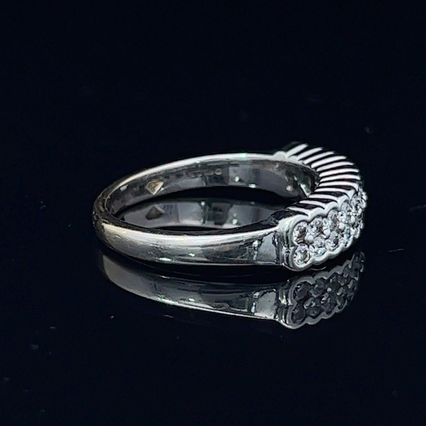 18K White Gold Double Diamond Eternity Band