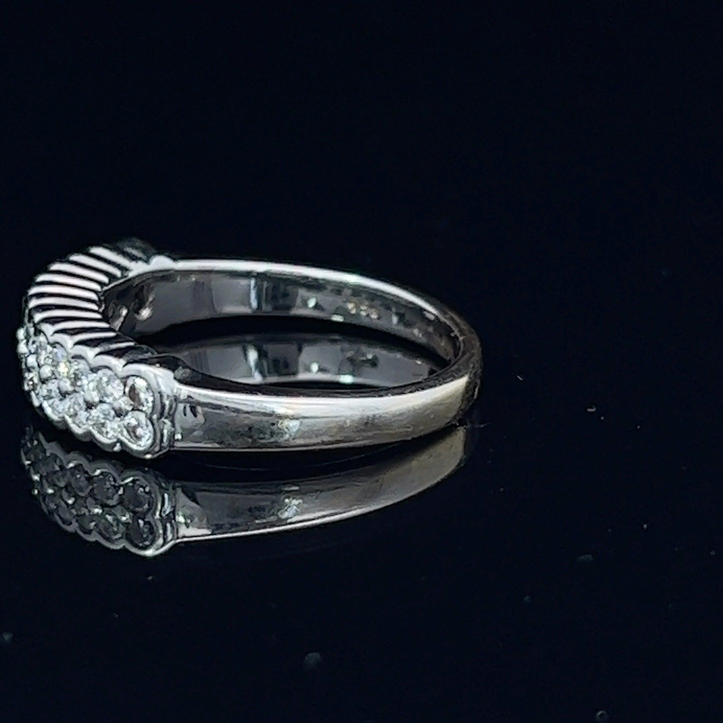 18K White Gold Double Diamond Eternity Band