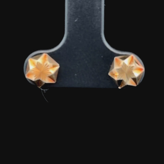 9k Yellow Gold Studs